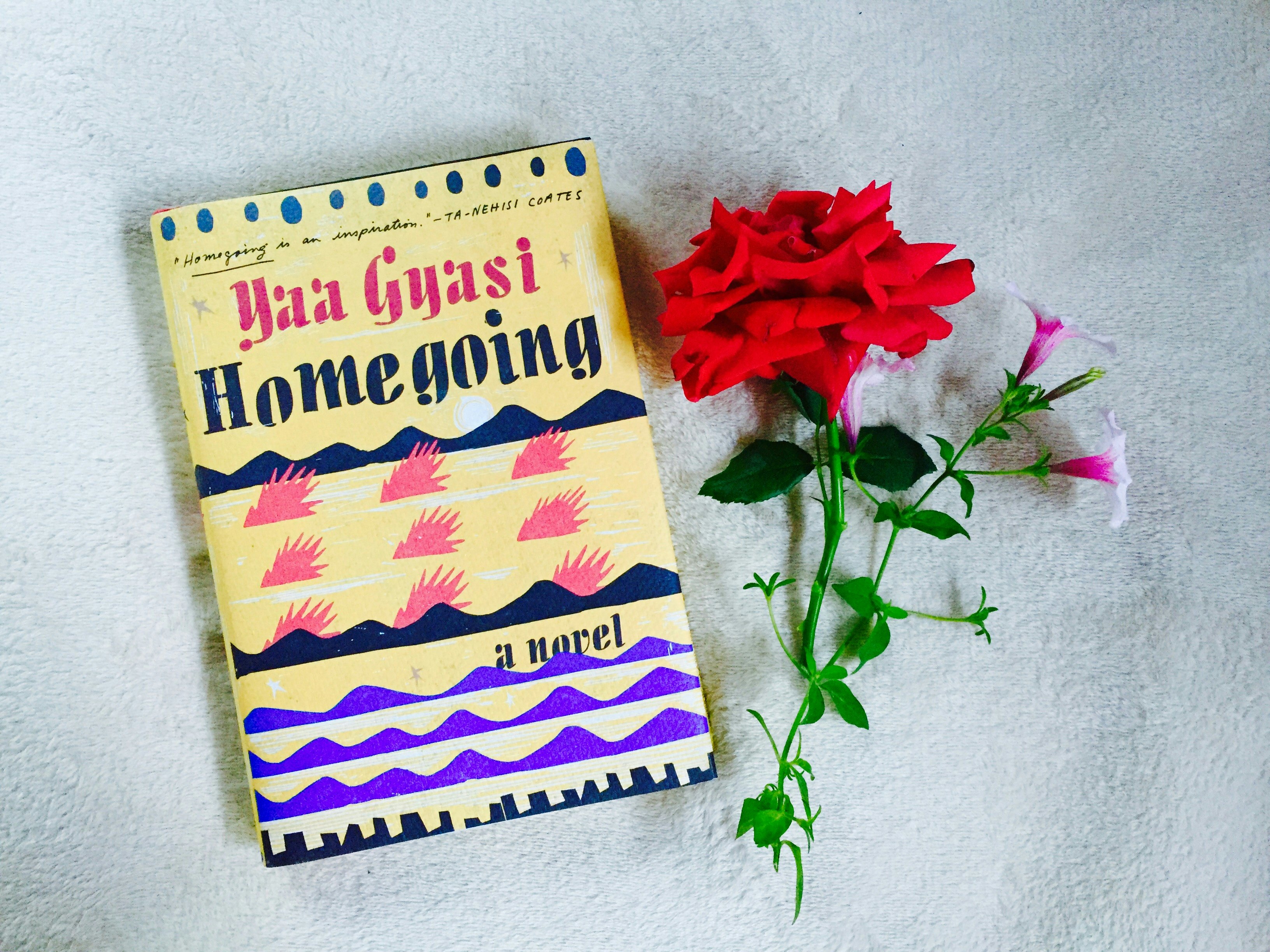 Homegoing A novel